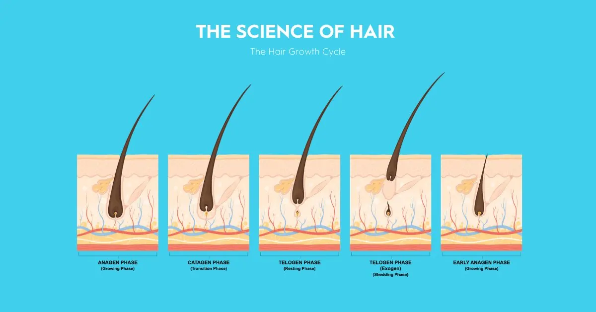 Clinically Proven Hair Growth With iGrow Hair Growth System And Helmet